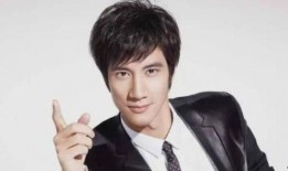 王力宏美国爆料视频大全,揭秘娱乐圈背后的真相